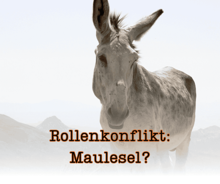 Rollenkonflikte